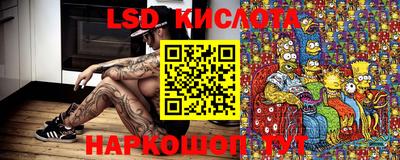 сатива Бердск