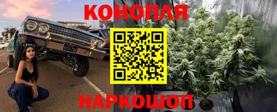 индика Белореченск