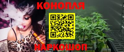 сатива Бердск
