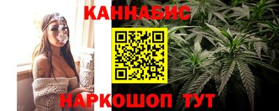 сатива Бердск