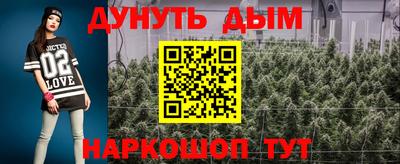 сатива Бердск