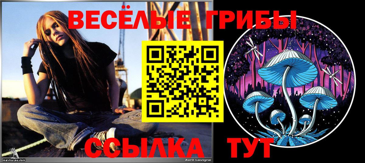 Камышлов  Галлюциногенные грибы Magic Shrooms  Вход с VPN 